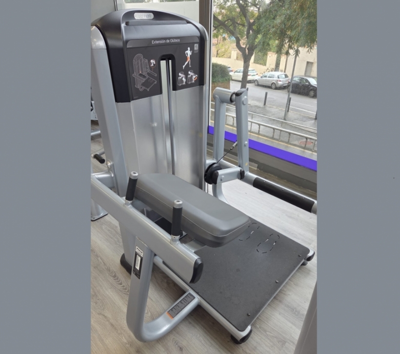 LOTE 6 MÁQUINAS PRECOR DISCOVERY + FUNCTIONAL TRAINER PRECOR FTS GLIDE. - Foto 2/7